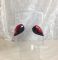 boucles d'oreilles créoles et ovales-rouge-noir-émaux-artisanat de Dordogne